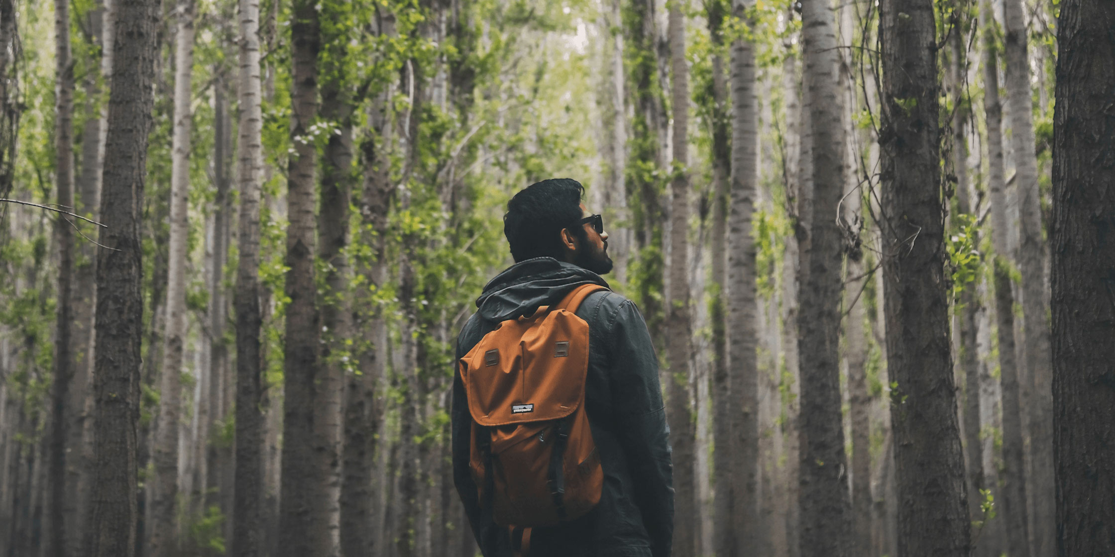 gleamapp's tweet card. Take a look at how Greenbelly grew their mailing list by using Gleam to run a partner giveaway.