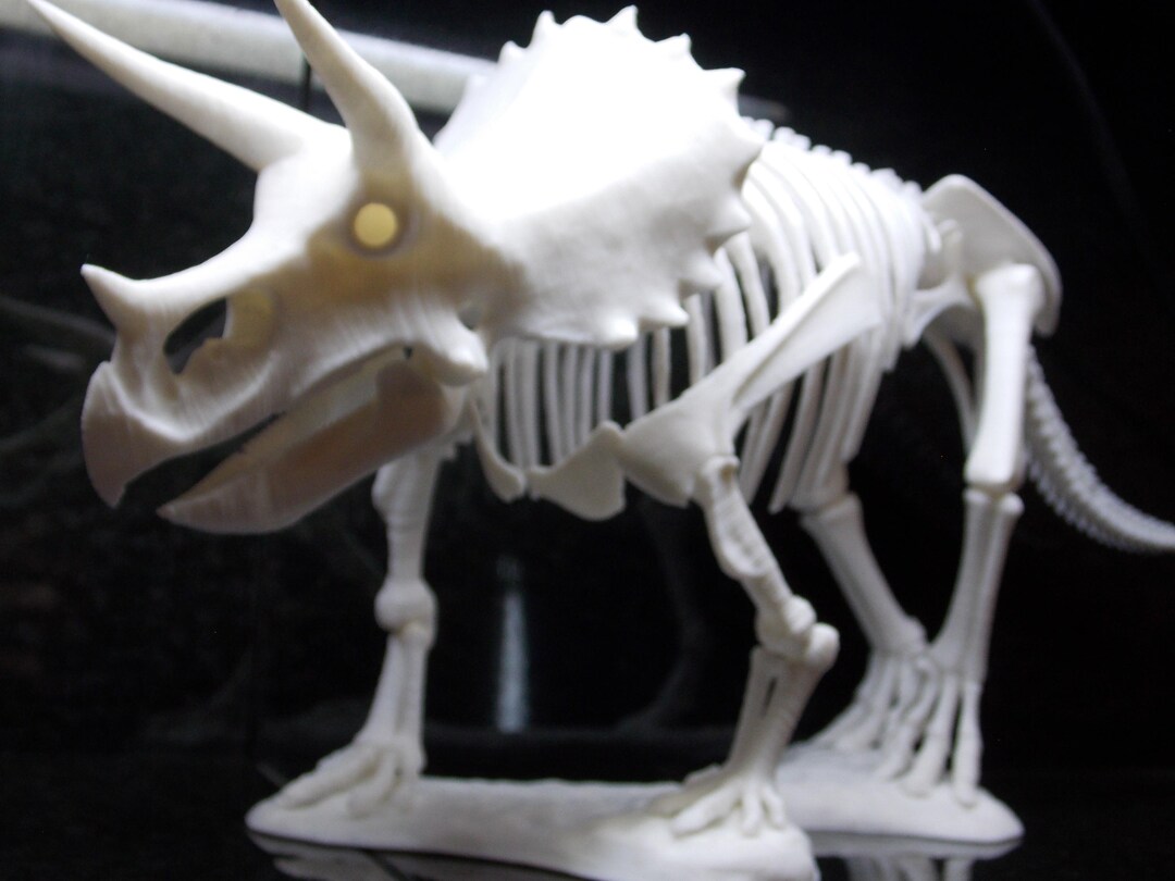 3DPrintWizard's tweet card. This Figurines & Knick Knacks item by 3DPrintedWonderWorks has 38 favorites from Etsy shoppers. Ships from Mendon, MI. Listed on Aug 18, 2025