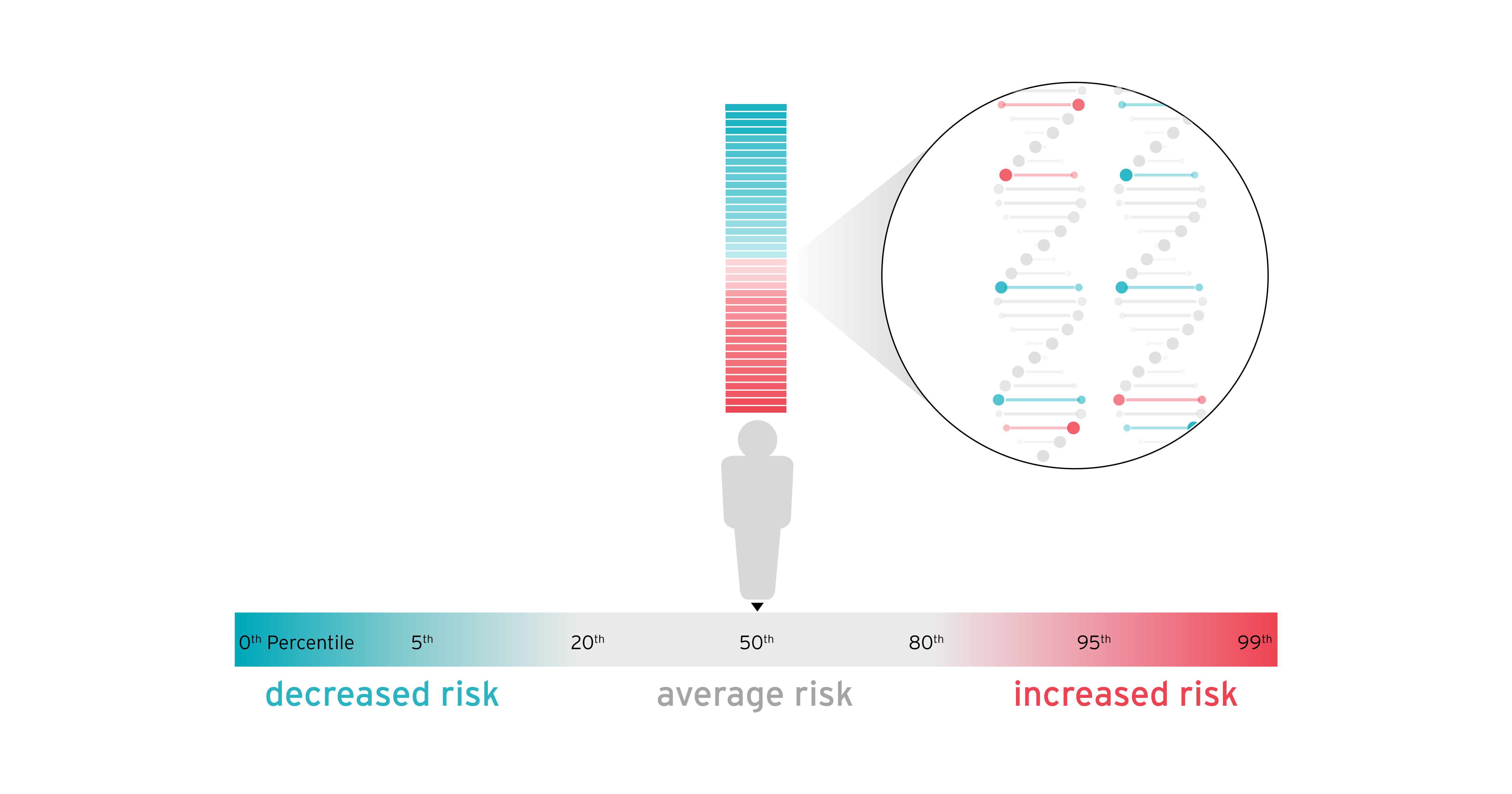 patternvizlab's tweet card. Polygenic Scores Explained