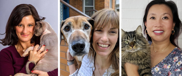 BayAreaVB's tweet card. A panel of veterinary experts answer your questions on the most common behavioral issues that cats face. Register now for this FREE virtual event, via Zoom.