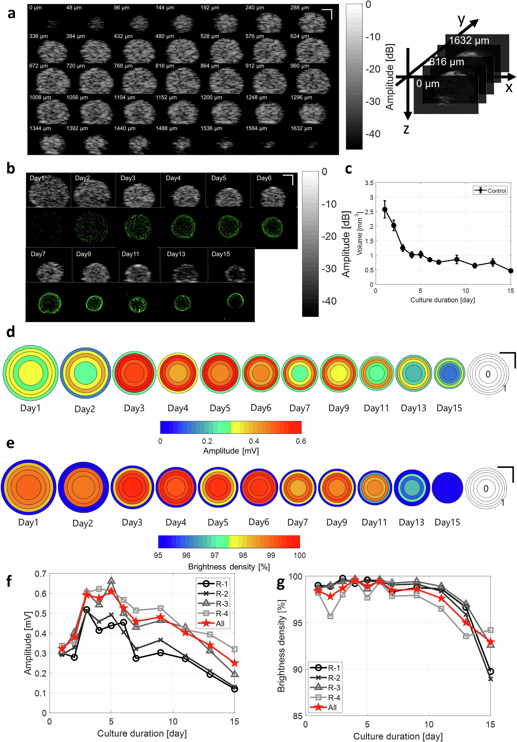 MechBioDesign's tweet card. npj Biomedical Innovations - Biochemical state in tissue can be detected through ultrasound signal