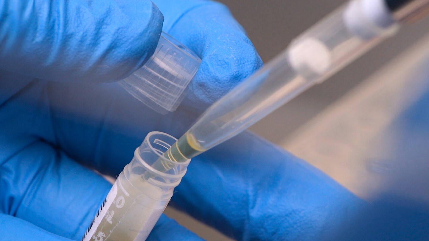 SciTechAction's tweet card. A new report finds over 74,000 people enrolled in experiments have been affected by the National Institutes of Health’s funding cuts.