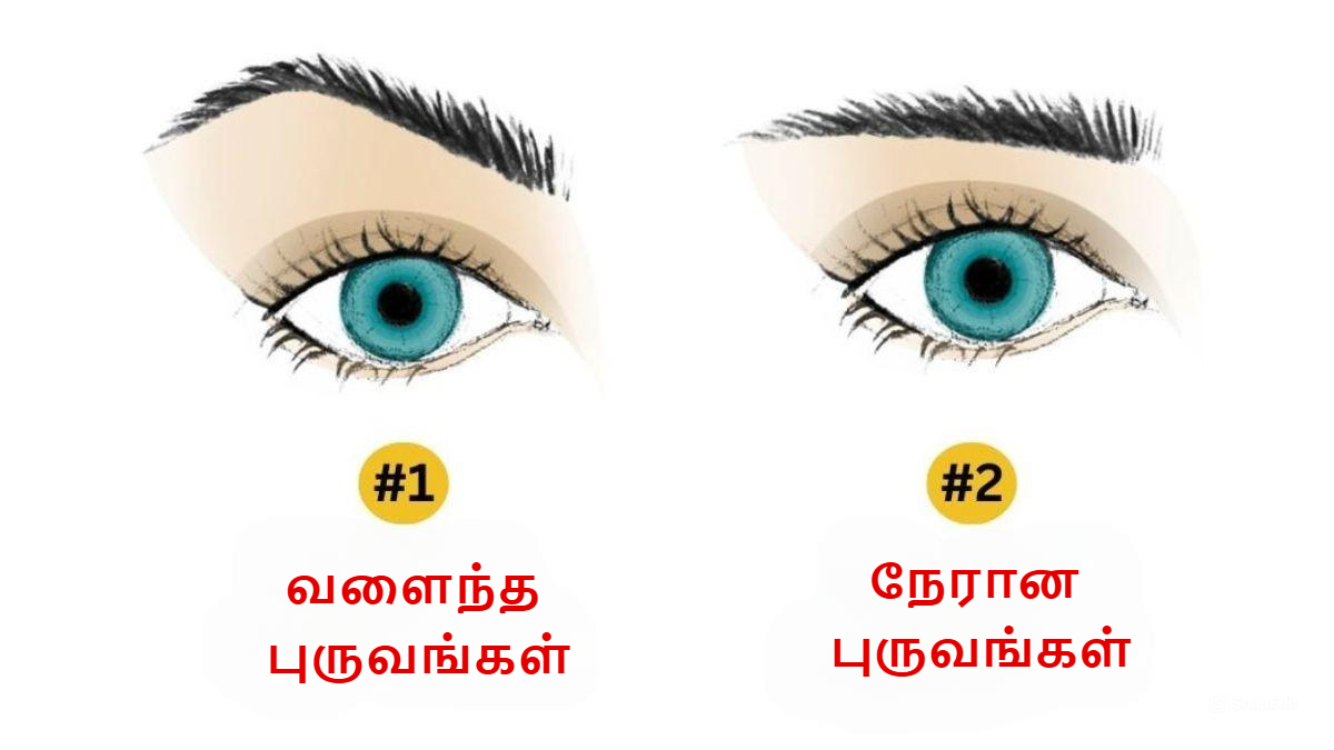 BoldskyTamil's tweet card. Personality Test: நீங்கள் உங்கள் புருவங்கள் உங்களைப் பற்றி என்ன சொல்கின்றன என்பதை தெரிந்து கொள்ள ஆவலாக இருக்கிறீர்களா?அதுவும் நீங்கள் சிந்தனையாளரா, நட்பானவரா, சுதந்திரமாக இருக்க விரும்பும் ஆன்மாவா...