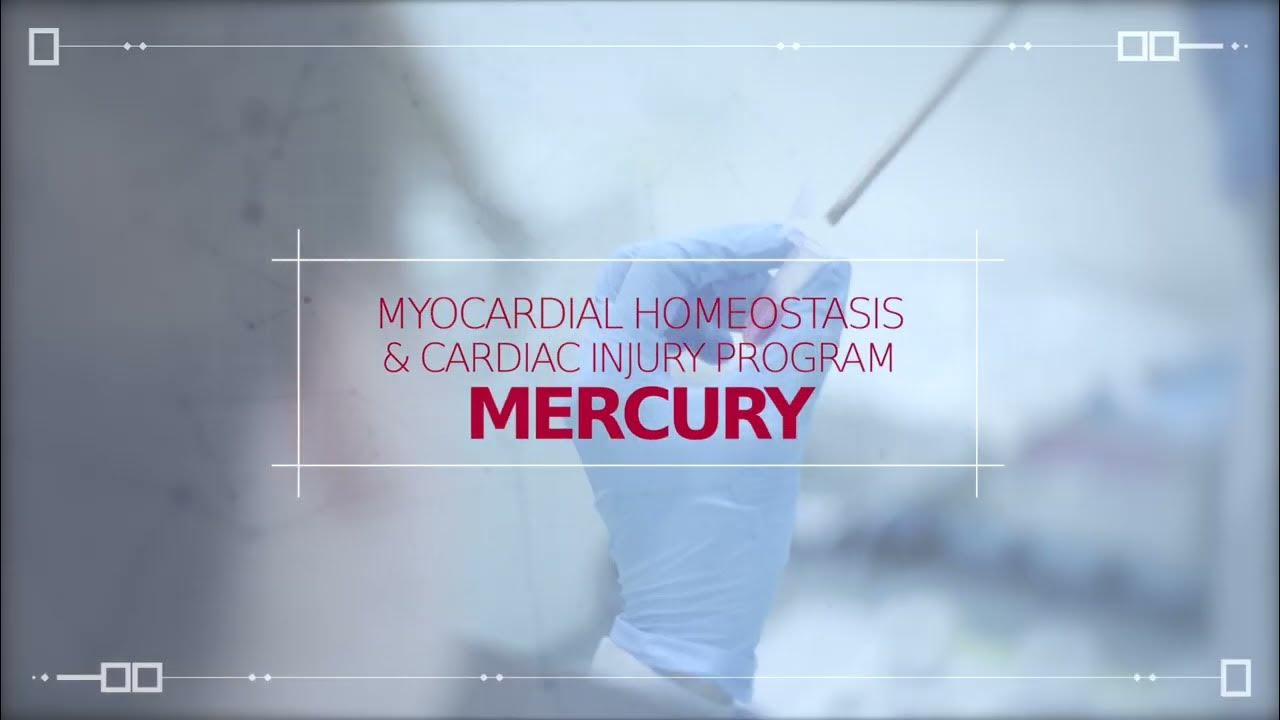 CNIC_CARDIO's tweet card. Myocardial Homeostasis and Cardiac Injury (MERCURY)