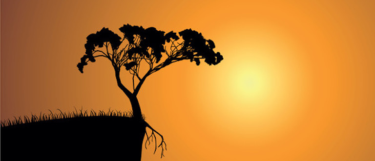 JimmyNetrix's tweet card. The need to process and analyze some data at the point where it is both created and consumed, the edge, is becoming a business requirement.