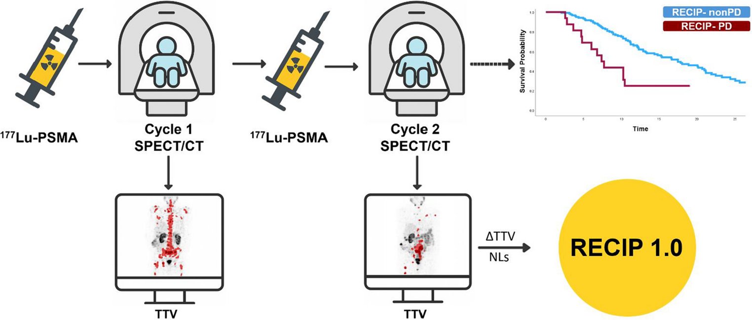 DrCArtigas's tweet card. European Journal of Nuclear Medicine and Molecular Imaging - This study evaluates the prognostic value of early response assessment using the Response Evaluation Criteria in PSMA imaging (RECIP...