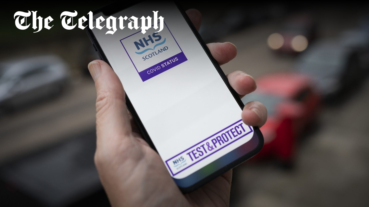 simon_telegraph's tweet card. Assessment for Scottish Government found version for England was ‘already usable’ and let patients be treated on either side of the border