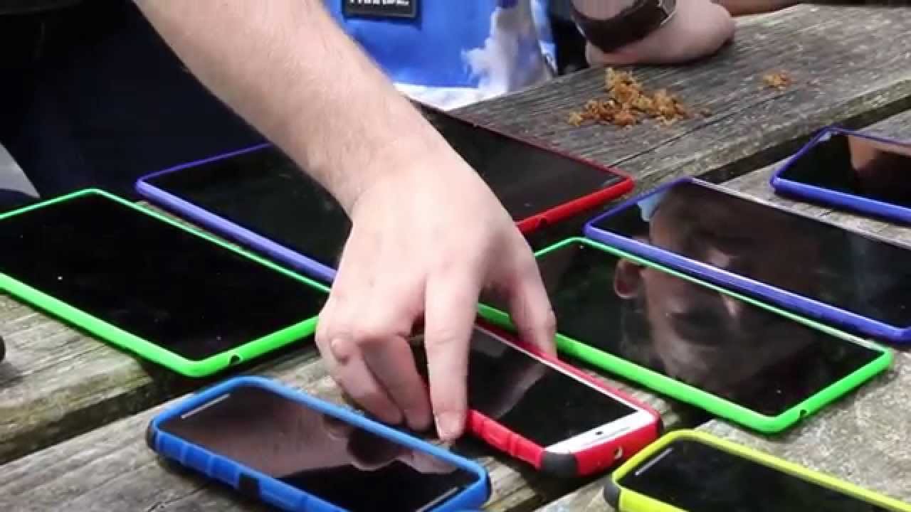 CobwebFP7's tweet card. COBWEB & Ysgol Bro Hyddgen