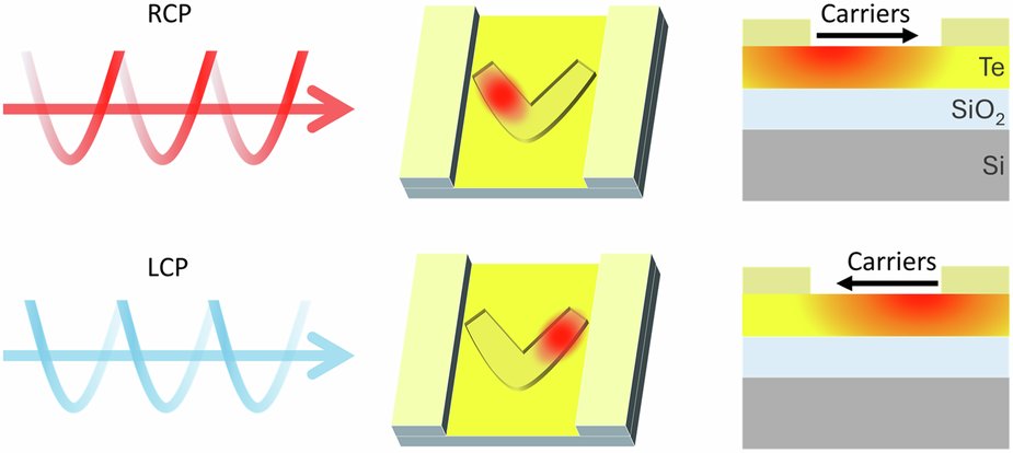 LightSciAppl's tweet card. Light: Science & Applications - Achiral dielectric nanostructures provide an efficient method for discriminating left- and right-circularly polarized photons, leveraging the photothermoelectric...