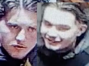 dvndm's tweet card. Leuke "groep"