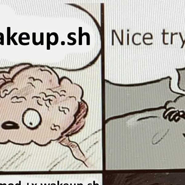 DebuggerMe's tweet card. DebuggerMe (@debugger.me) • Instagram photo