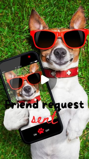 Tech123Easy's tweet card. Vestavia Hills Library in the Forest (@vestaviahillslibrary) • Instagram reel