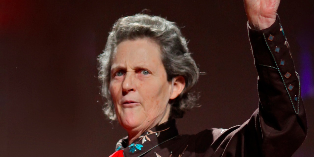 skagitfs's tweet card. Dr. Temple Grandin, one of the greatest autism advocates of our time, has been named to the National Women's Hall of Fame.