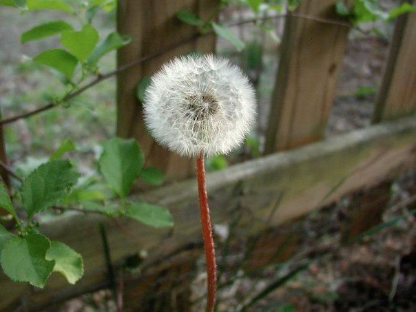 EslarnerZeitung's tweet card. Extreme sensitivity to noise, touch, movement, commotion etc...(brief personal update)