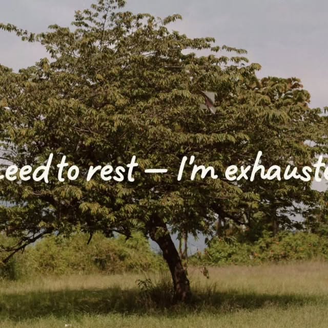 CaithyOrganics's tweet card. Caithy Organics (@caithyorganics) • Instagram photos and videos