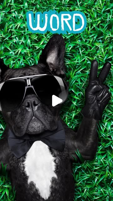 Tech123Easy's tweet card. Vestavia Hills Library in the Forest (@vestaviahillslibrary) • Instagram reel