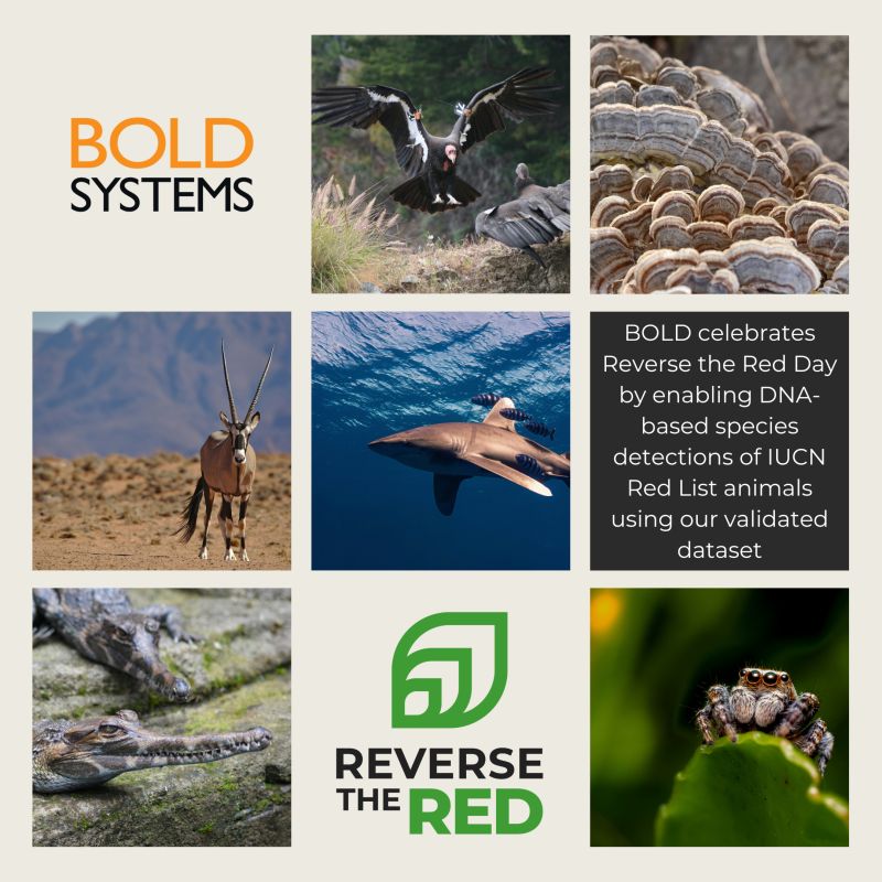 CBG_UofG's tweet card. 🌿🔴 Reverse the Red Day! The IUCN Red List categorizes species based on their global extinction risk and Reverse the Red is a movement dedicated to reversing negative biodiversity loss trends by...