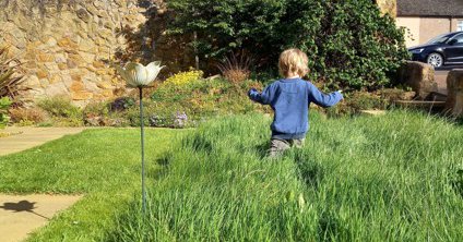 Tweet card summary image