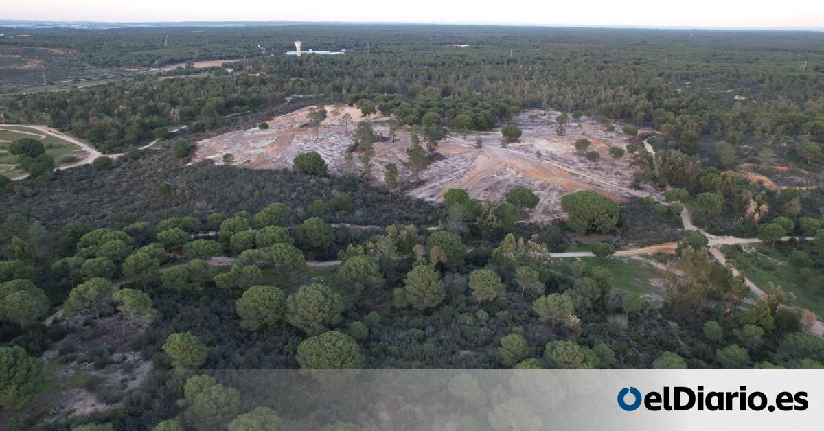 iescolar's tweet card. Arranca la promoción de las primeras 150 viviendas pese a que el megaproyecto está judicializado tras una denuncia ecologista. El complejo Sagitta en El Rompido (Cartaya) implica arrasar una gran...