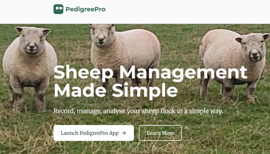 andy_the_author's tweet card. Professional sheep pedigree and flock management software for breeders and farmers. Record, manage, and analyze your flock with ease.