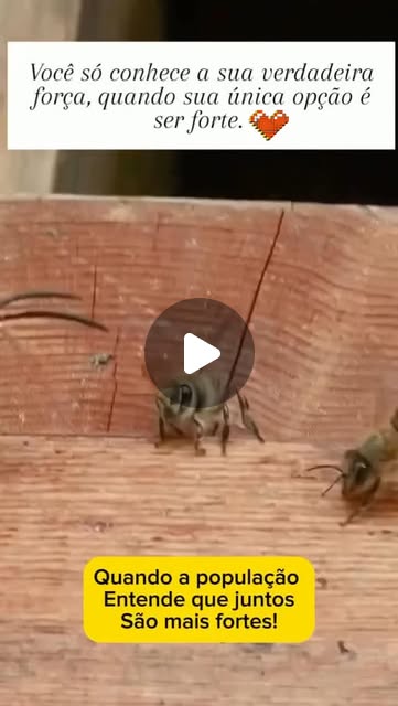 CYBERNETRJ's tweet card. Anderson Moura (@anderson.moura.963) • Instagram reel