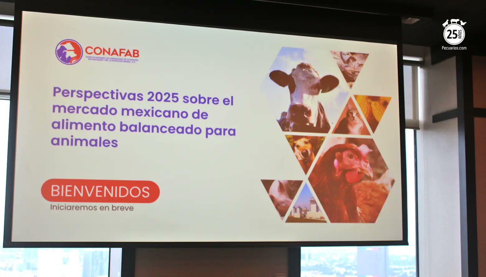 Conafab's tweet card. Conafab presentó sus perspectivas de producción de alimento balanceado en México para 2025, destacando un crecimiento esperado de 2%. Te compartimos los retos del sector y datos clave para aves,...