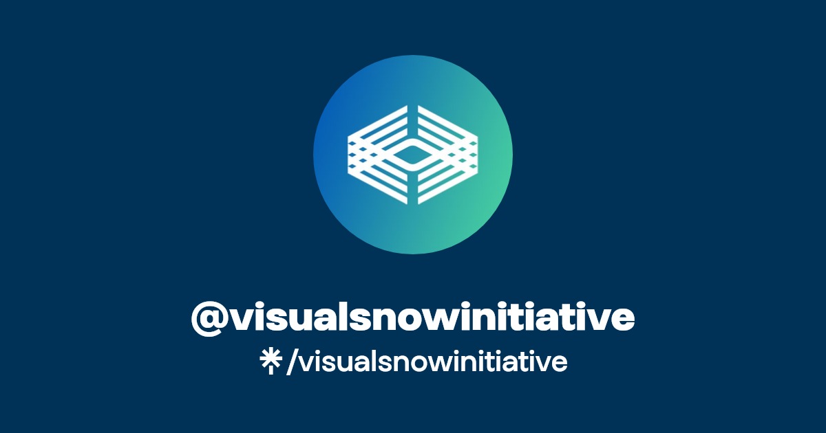 VisualSnowInit's tweet card. Nonprofit | Global awareness, education, and research for Visual Snow Syndrome