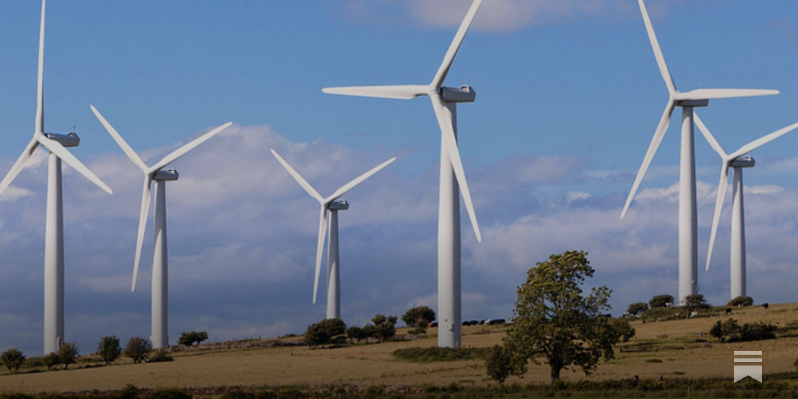 toadmeister's tweet card. Hardly the 'energy security' Ed Miliband continually warbles on about