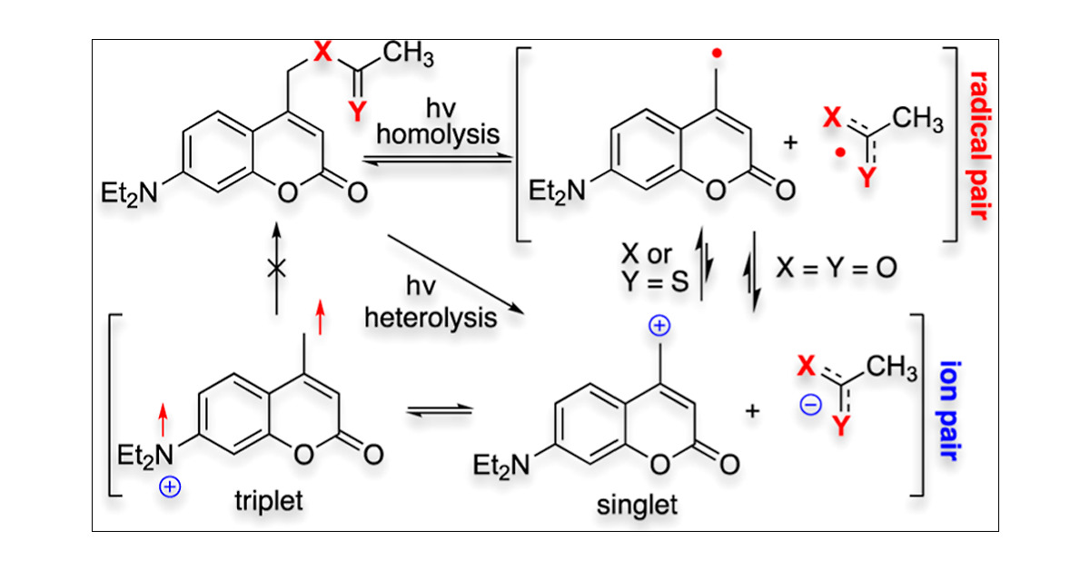 J_A_C_S's tweet card. Photoreactions of (coumarin-4-yl)methyl derivatives have been extensively studied in many fields of chemistry, including organic synthesis and photoinduced drug delivery systems. The identification...