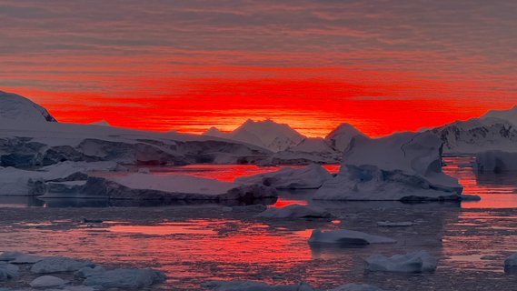 Image for twitter card