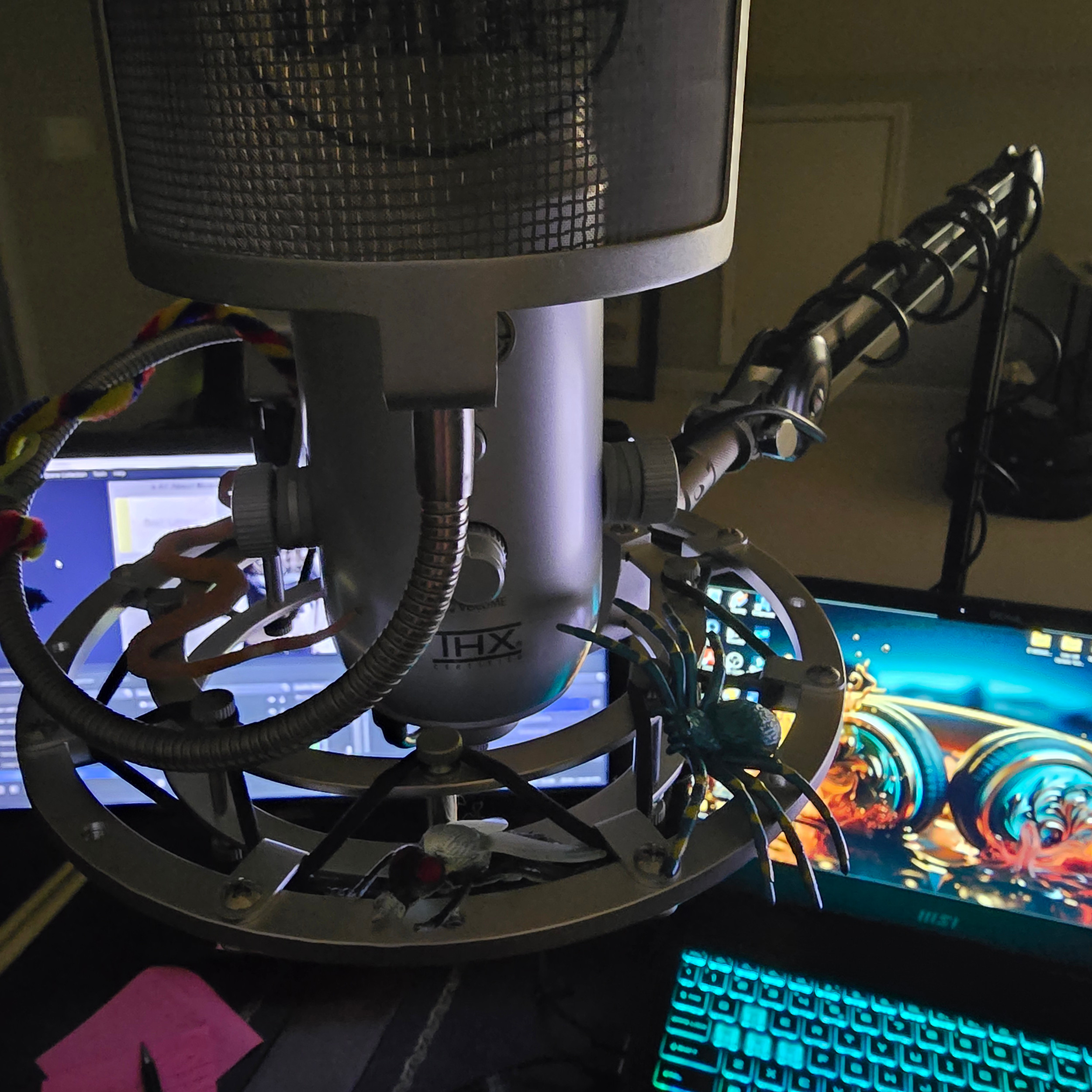 HakutenMusic's tweet card. Livestream | IAAM Radio