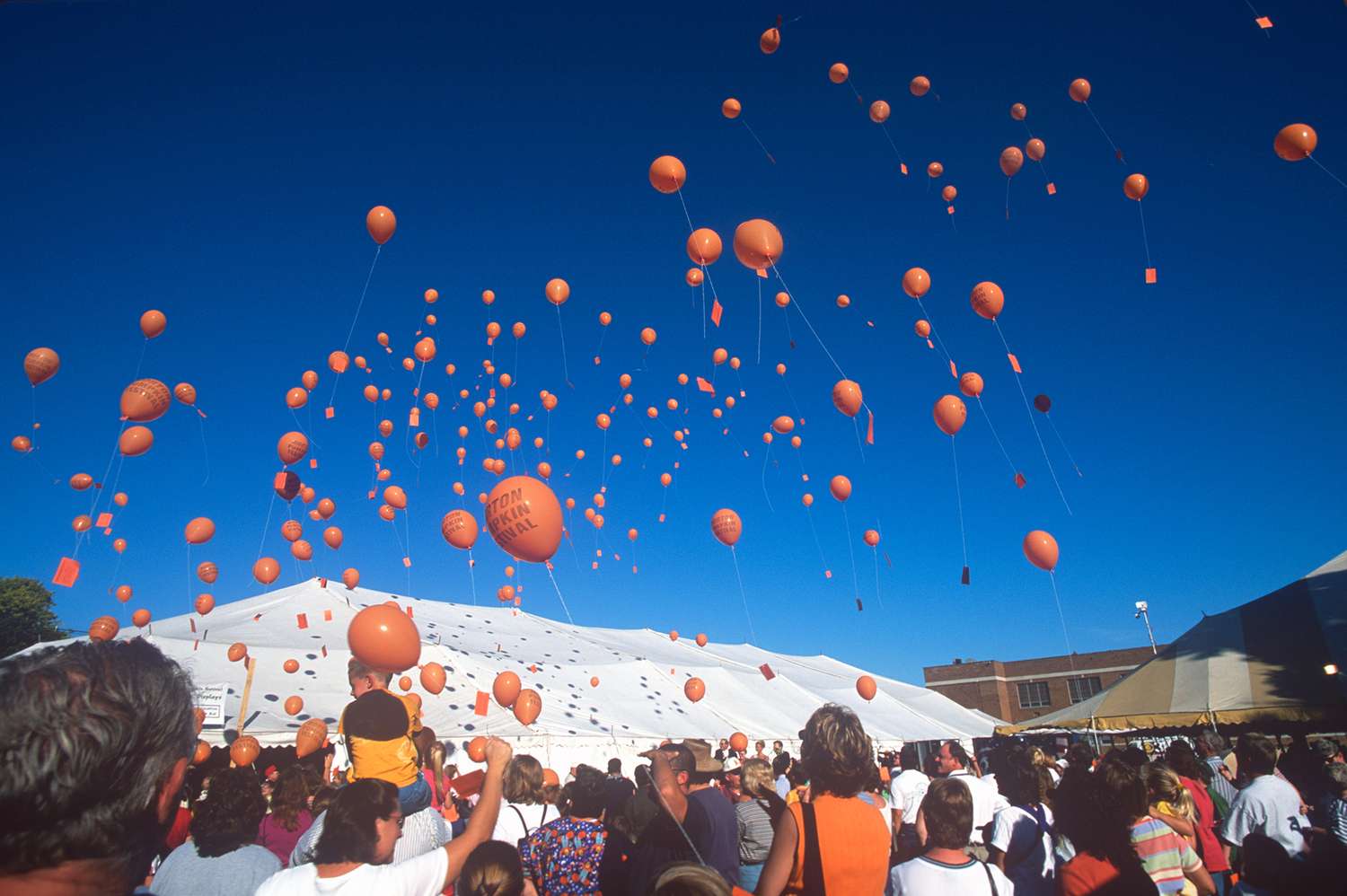 mtmjosh's tweet card. Morton, Illinois, the Pumpkin Capital of the World, produces most of the world’s canned pumpkin and hosts a beloved fall festival every September.