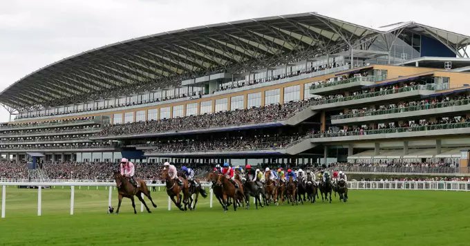 WWWoodzy92's tweet card. Read our horse racing betting review and ante post betting column from horse racing expert James Woods as he selects four horses to follow....