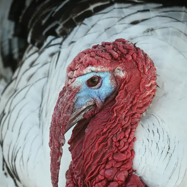 KeriKilgo's tweet card. Keri Kilgo (@kerikilgo) • Instagram photo