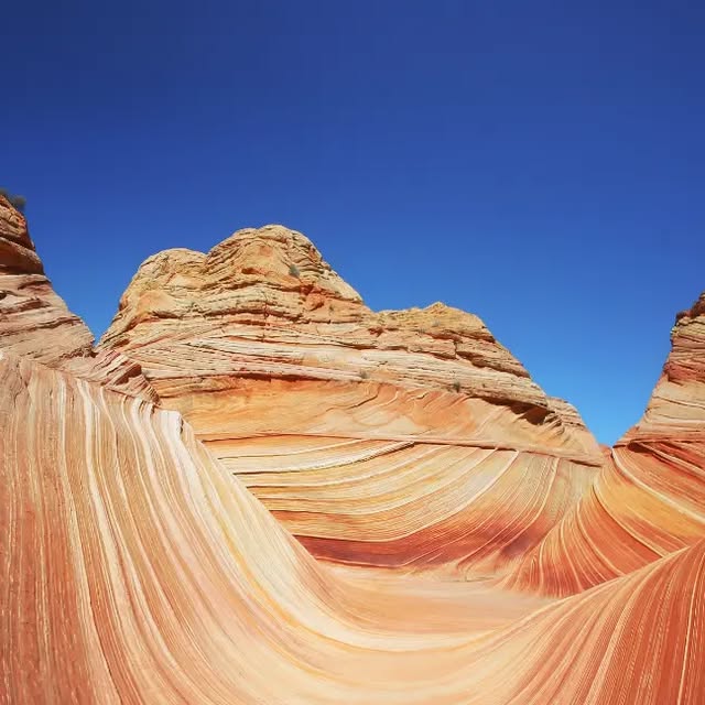 KeriKilgo's tweet card. Keri Kilgo (@kerikilgo) • Instagram photos and videos