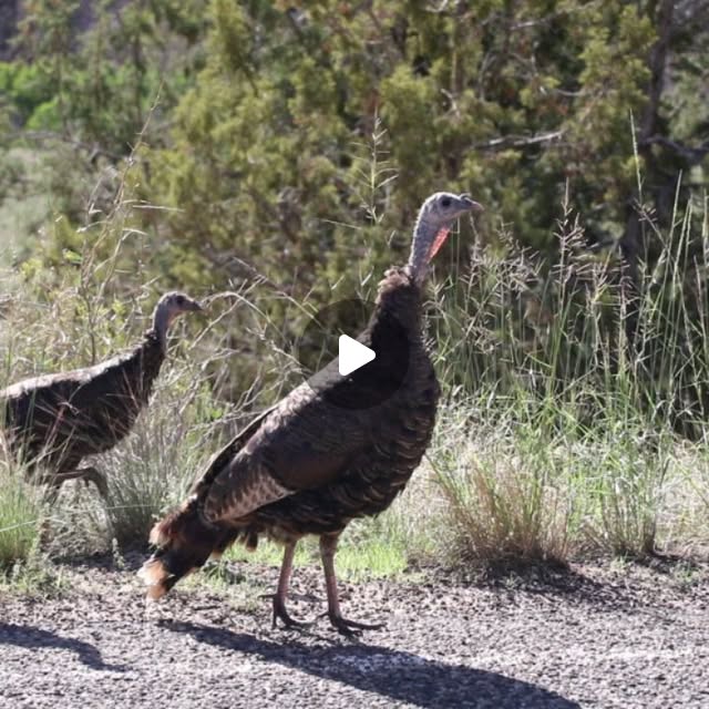 KeriKilgo's tweet card. Keri Kilgo (@kerikilgo) • Instagram photos and videos