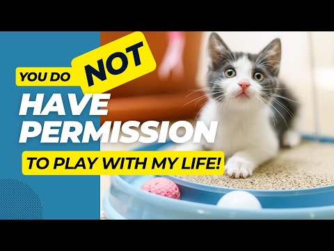 DrCherylM's tweet card. You do NOT Have Permission to Play with My Life! (Stopping Old Cycles...