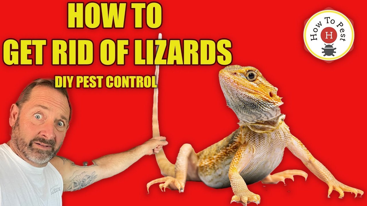 HowToPest's tweet card. How To Get Rid of Lizards FAST | Proven DIY Pest Control Tricks That...