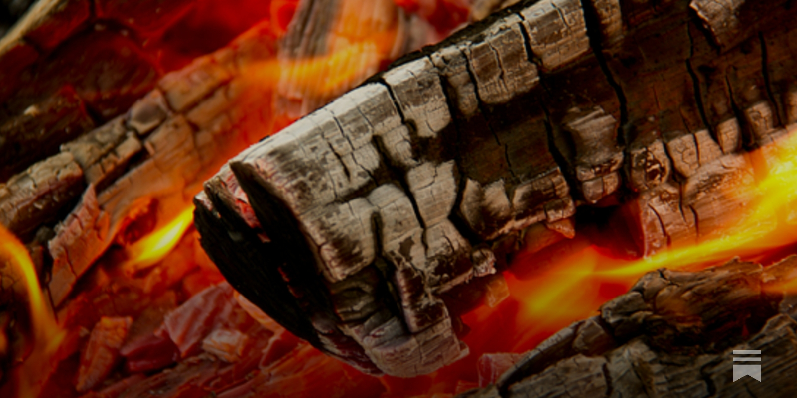 rustlem's tweet card. There was no shortage of trees