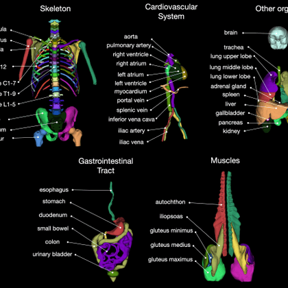 Tweet card summary image