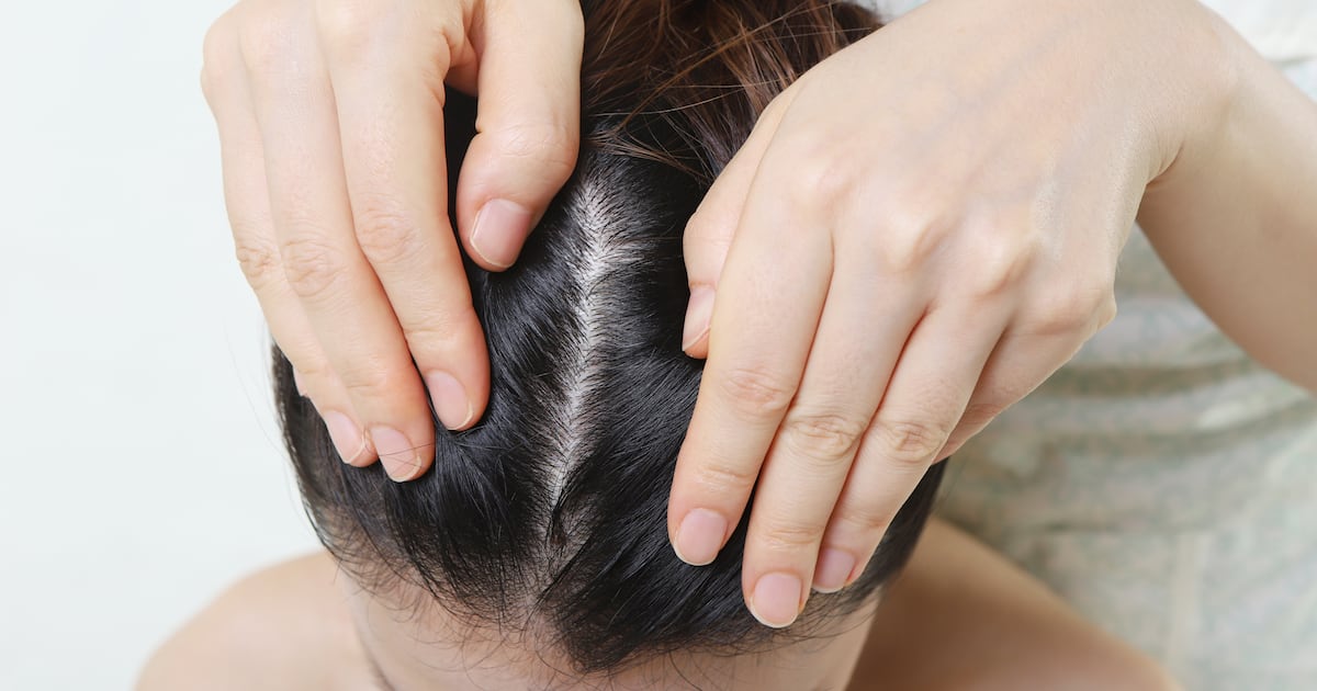IrishTimes's tweet card. Simone Gannon: After years of being sidelined in our beauty routines, the health of our head is now front and centre