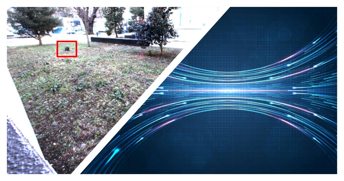 nikkeibpITpro's tweet card. 　NTTは何台もの高解像度カメラで撮影した映像を効率良く集約できる技術を開発した。動物の移動経路や生息域を追跡したり、ワナを効率良く配置したりできる可能性がある。全国で人身被害が相次ぐクマ対策に応用できるという。