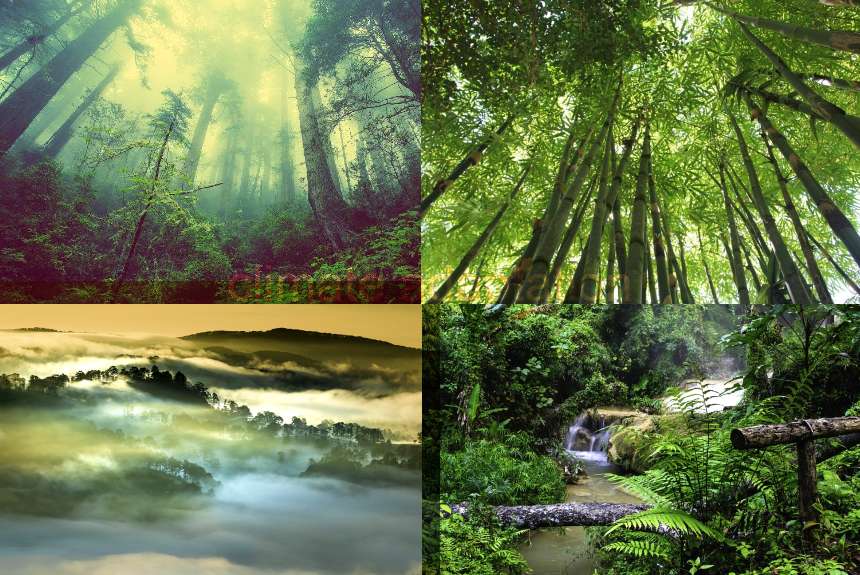 climateadapt19's tweet card. The study says climate change impacts vary by region; therefore, adaptation strategies and policies should be tailored and contextualised.