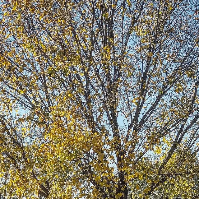 DoctaM3's tweet card. DoctaM3 (@doctam3) • Instagram photo