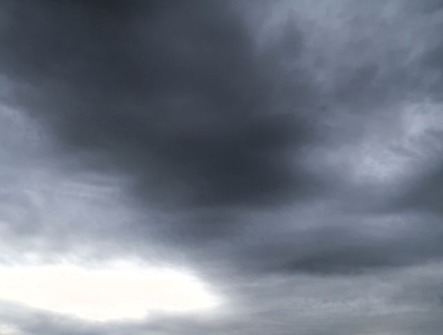 yasuoji's tweet card. 　2025/11/25 am8:30 　おはようございます。久方ぶりに曇り空の朝！予想最高気温14℃とこの後も殆ど上がらないようです。 　表情乏しく・・・