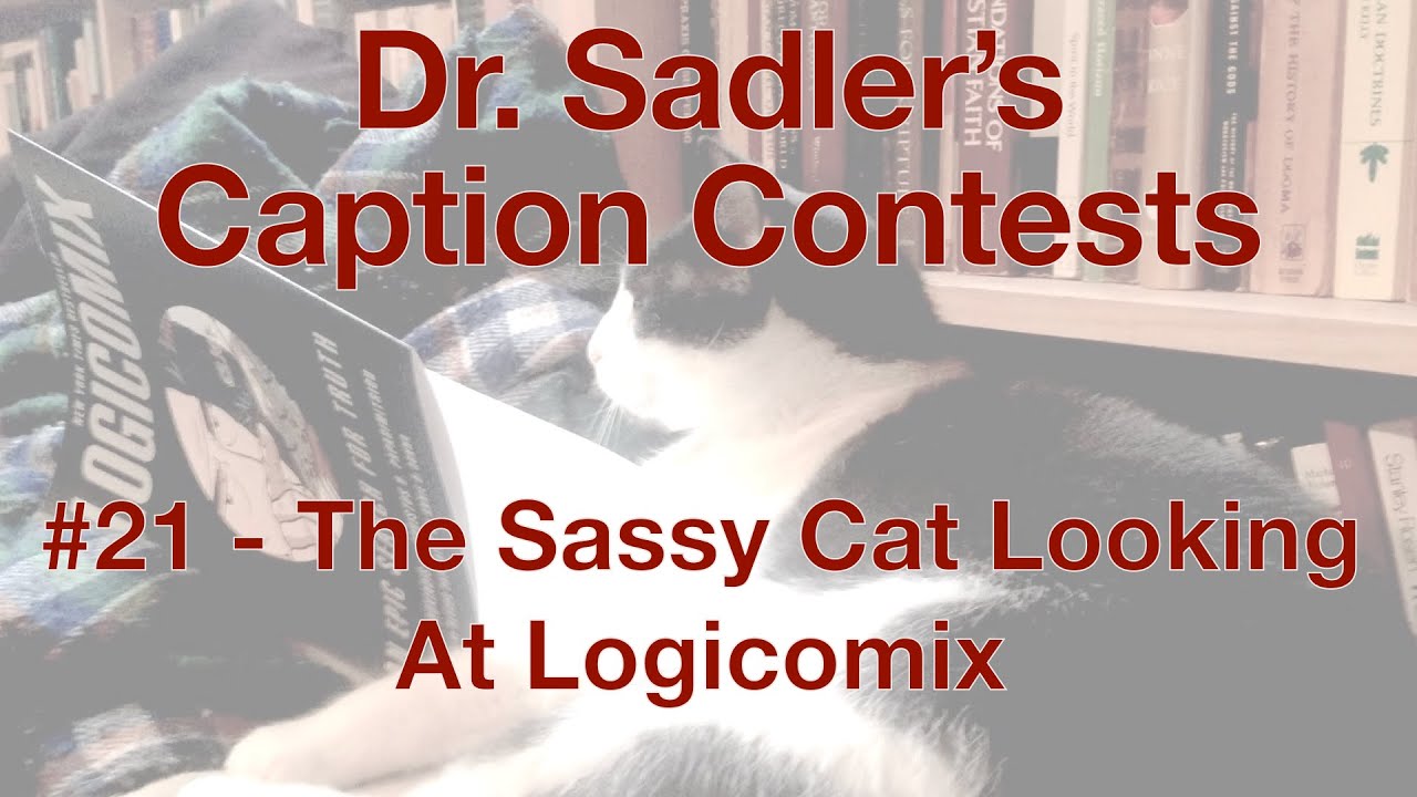 philosopher70's tweet card. Dr. Sadler's Caption Contests #21 | The Sassy Cat Looking At The...