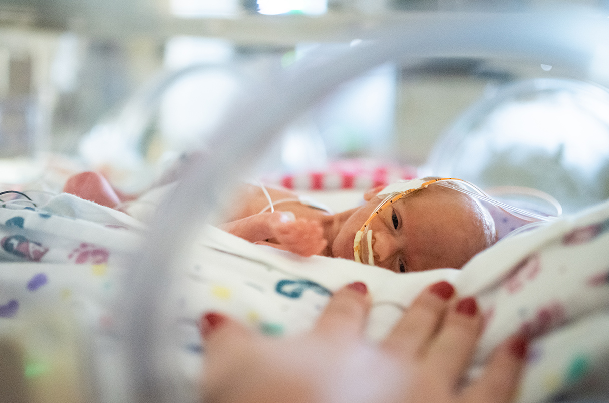 davidchalmers42's tweet card. Fetal and infant brains offer clues to when human experience begins