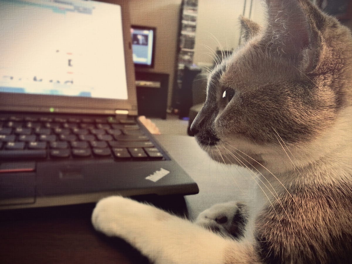 foundationppl's tweet card. What does the act of typing onto billions of internet-connected screens mean for the future of language?