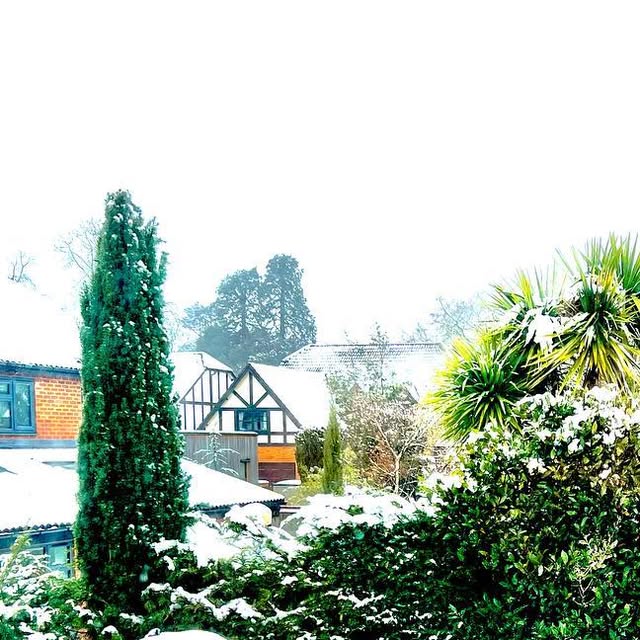 derekthomas10's tweet card. Derek Thomas (@creatinglifechoices) • Instagram photo