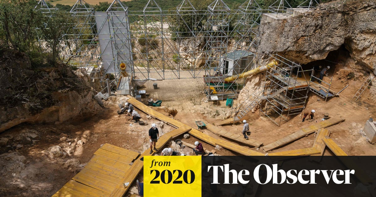 guardian's tweet card. Seasonal damage in bone fossils in Spain suggest Neanderthals and their predecessors followed the same strategy as cave bears